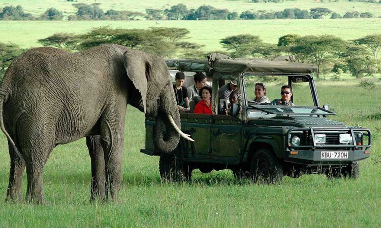 Hotel booking and concierge services in Nairobi, Kenya