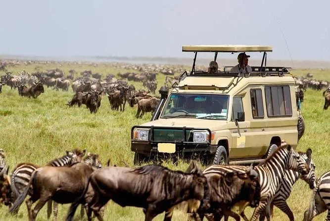 Game drive at Nairobi National Park with the city skyline